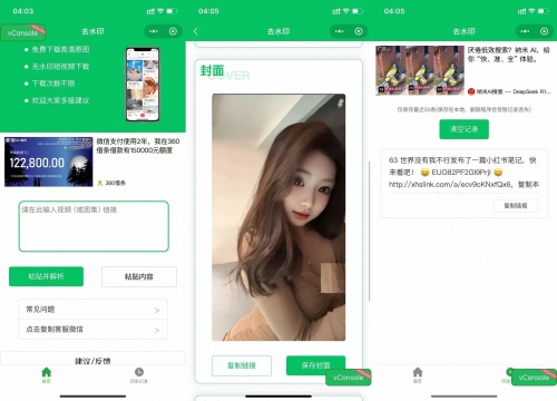 2025去水印小程序源码 纯前端无须后端